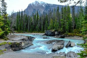 what is wilderness therapy in drug rehab - texasrecoverycenters.com