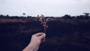 The journey from a life before addiction to one consumed by drug use is a gradual process often marked by subtle changes that eventually give way to more profound and damaging consequences