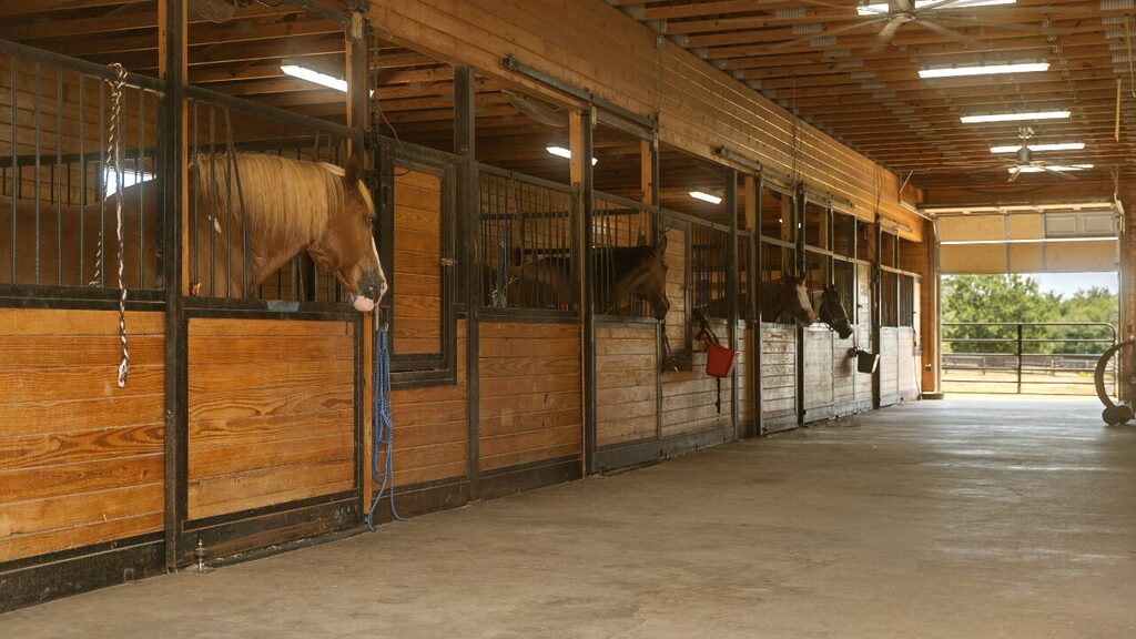 Equine therapy, an innovative approach in addiction treatment, offers a unique path to recovery by harnessing the healing power of human-horse interactions