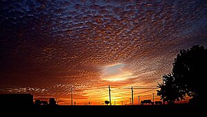 Sky over Grapevine