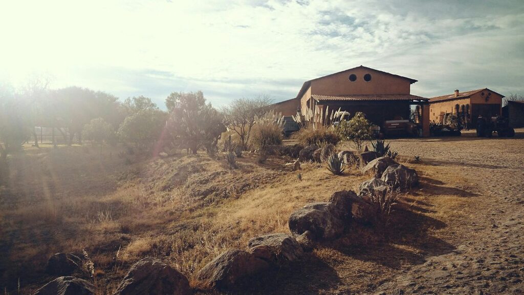 A tranquil outdoor setting outside Dallas Fort Worth, representing the quiet atmosphere provided during recovery at a premier drug rehab in Texas.